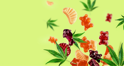 The Rise of THC CBD Gummies: Trends and Legalities