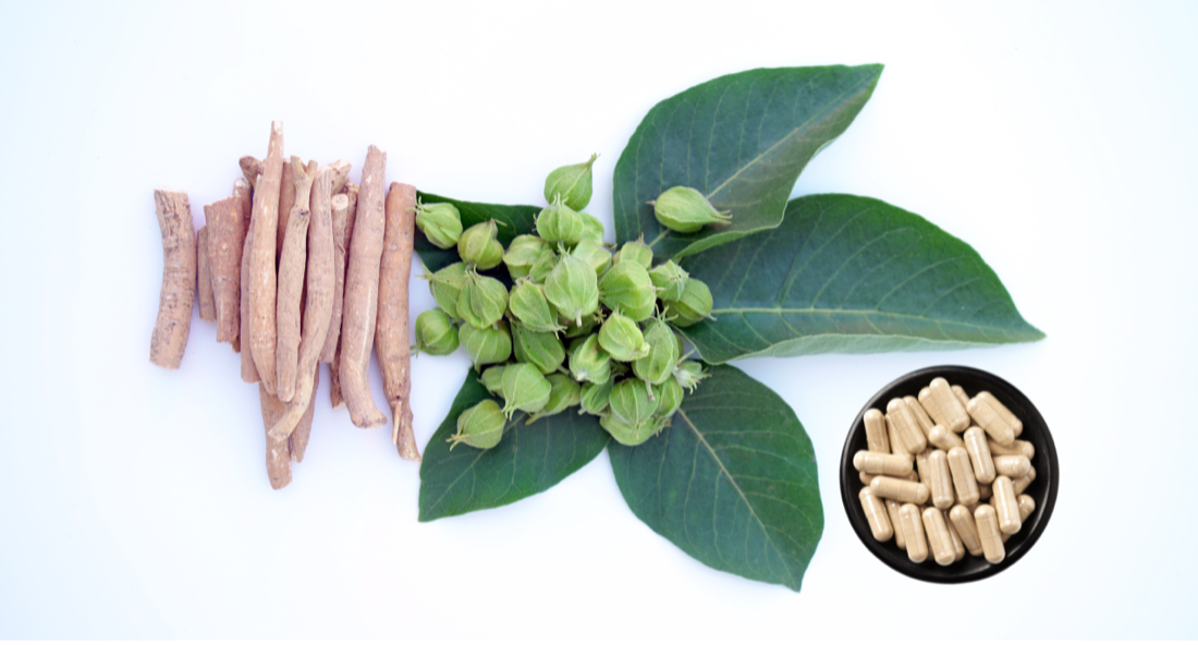 The Complete Guide to Ashwagandha