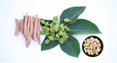 The Complete Guide to Ashwagandha