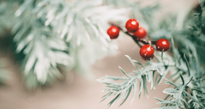 Five Ways to Beat Stress this Holiday Season