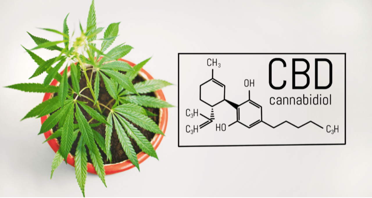 Cannabidiol (CBD): What we know and what we don't - Harvard Health